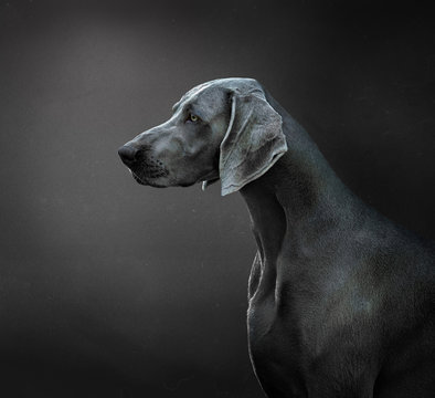 Rudi H.